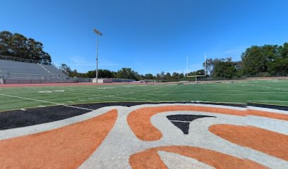 Soccer Field image 1