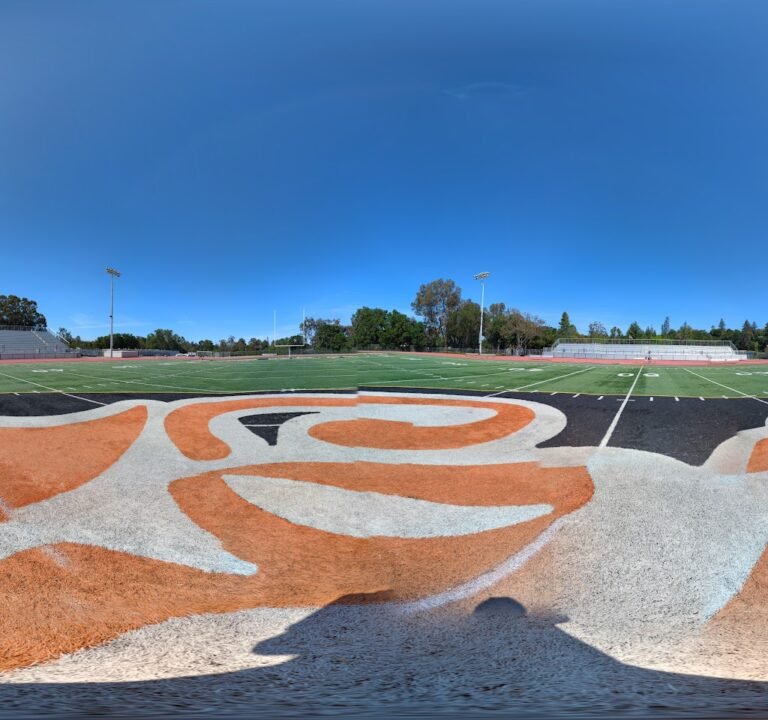 Soccer Field image 2