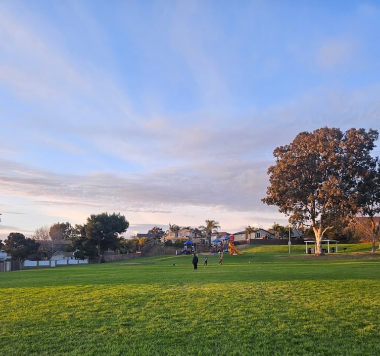 Soccer Field image 2