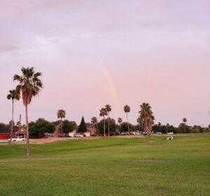 Soccer Field image 2