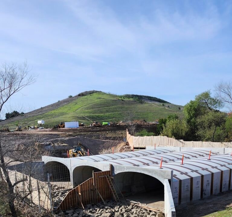 Soccer Field image 3