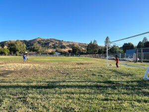 Soccer Field image 1