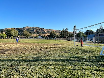 Soccer Field image 1