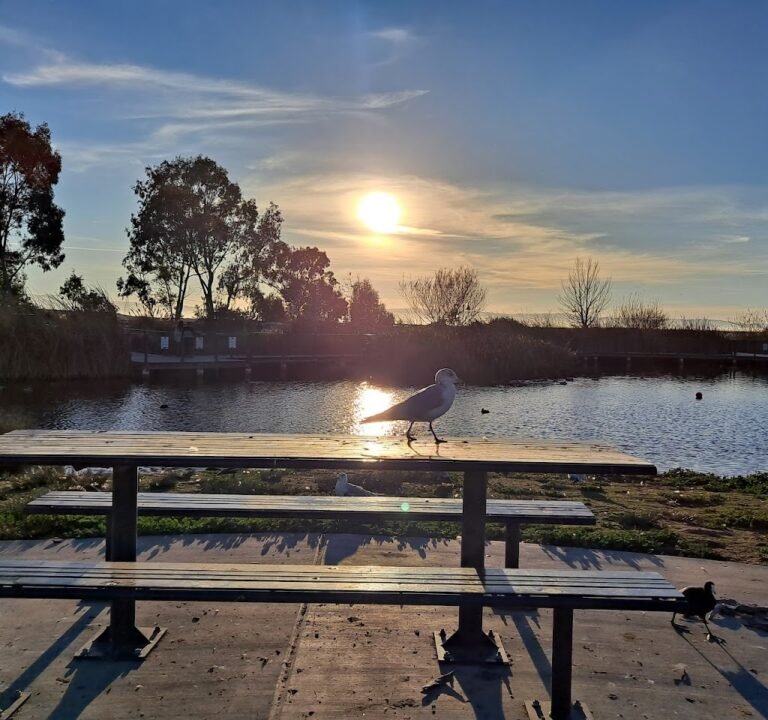 Soccer Field image 3