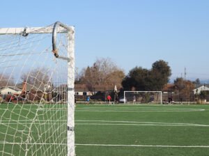 Soccer Field image 1