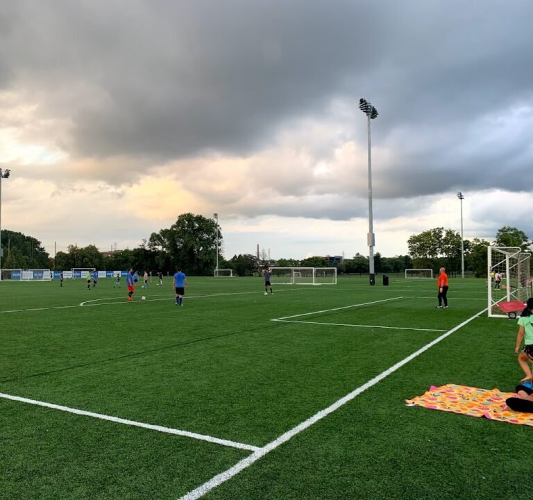 Soccer Field image 2