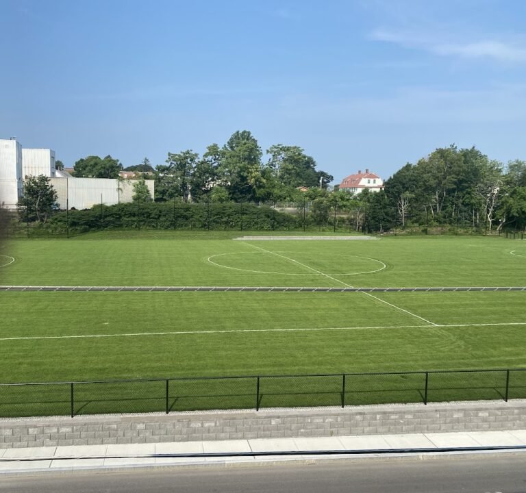 Soccer Field image 2