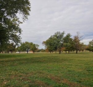 Soccer Field image 2