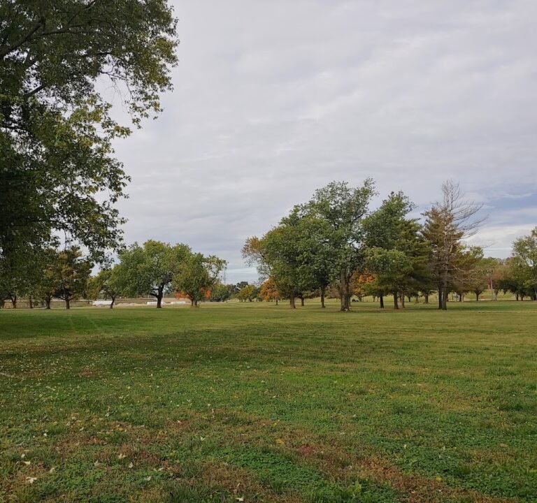Soccer Field image 2