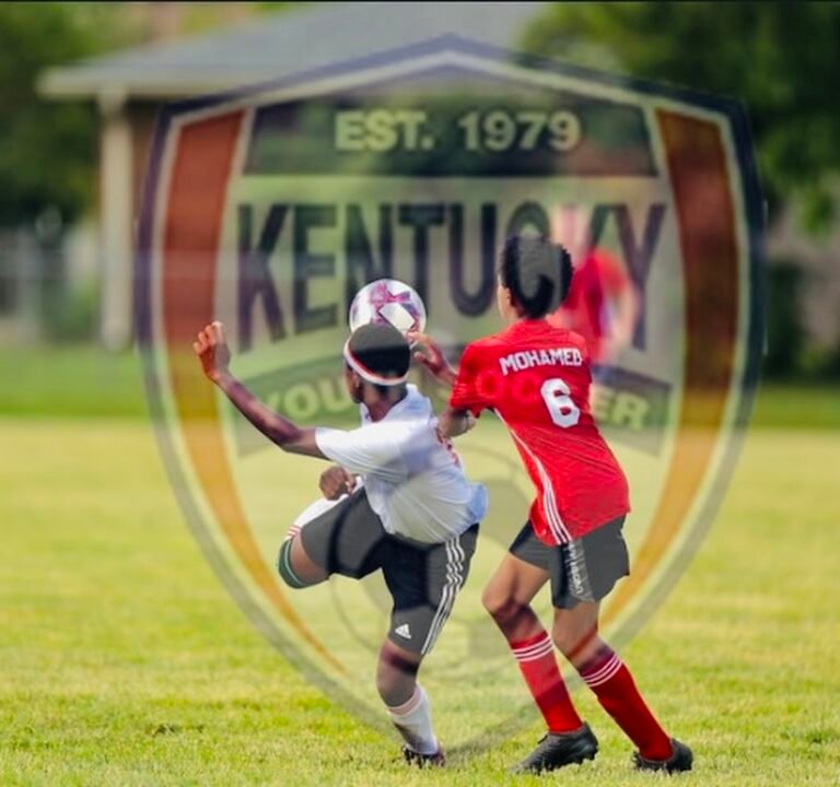 Soccer Field image 2