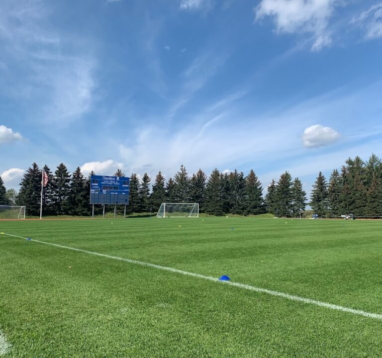 Soccer Field image 3