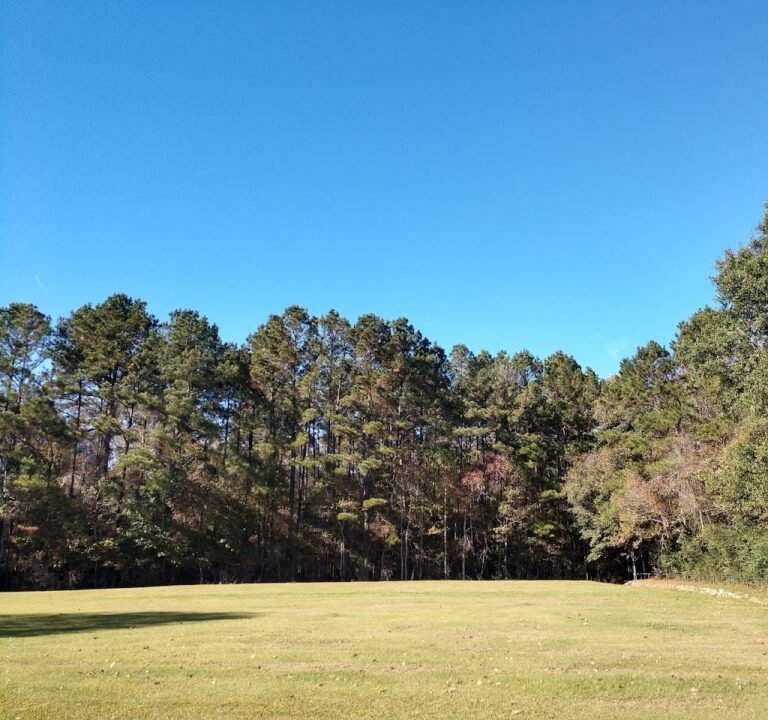 Soccer Field image 2