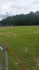 Soccer Field image 1