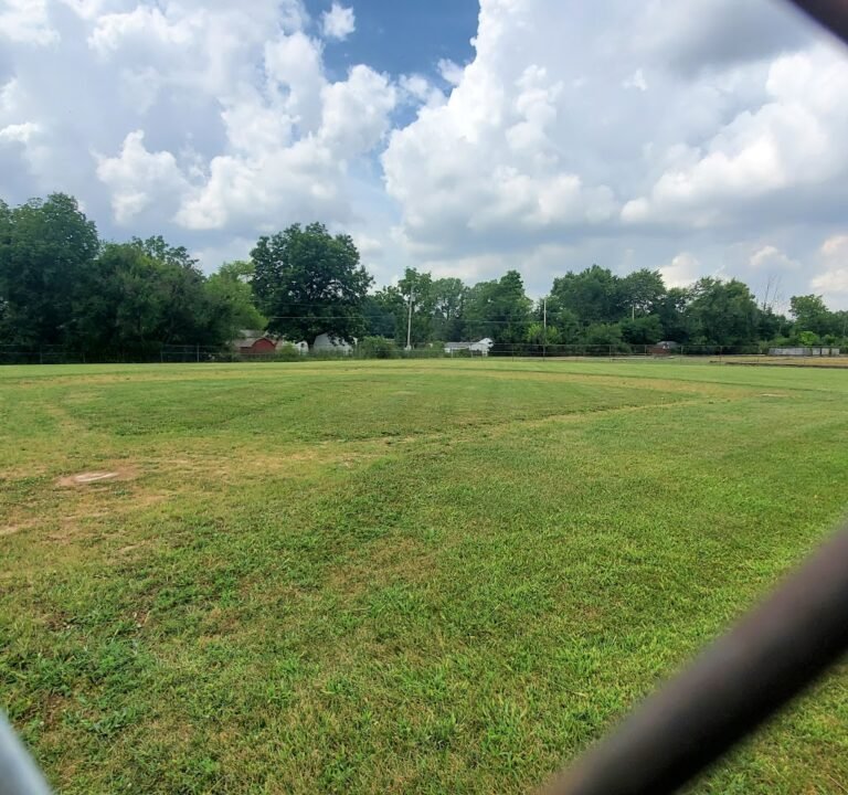Soccer Field image 2