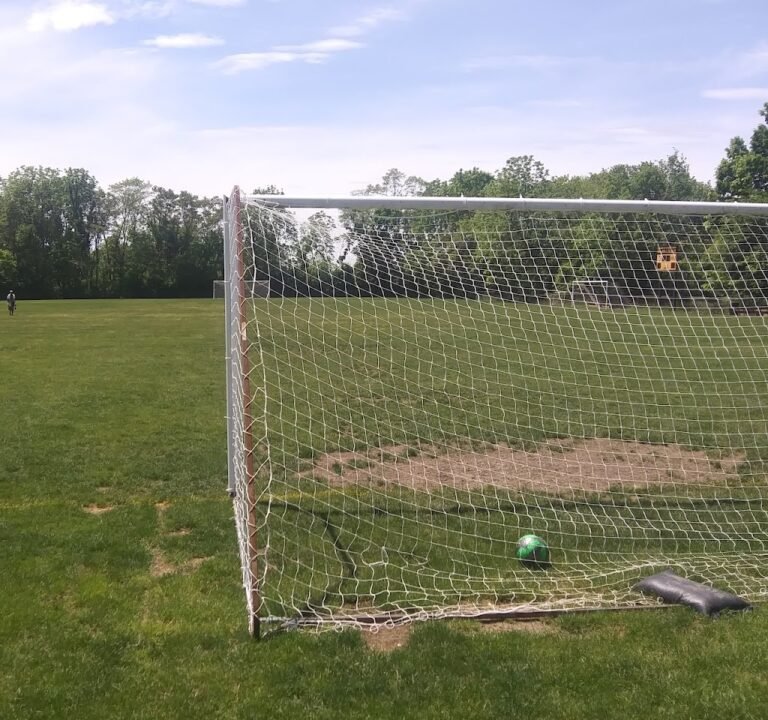Soccer Field image 3