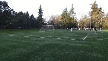 Soccer Field image 1
