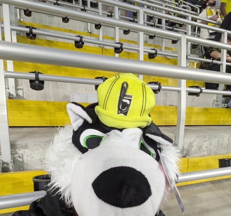 Soccer Field image 3