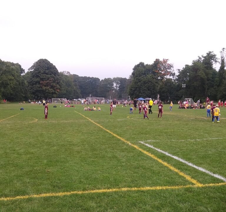 Soccer Field image 2