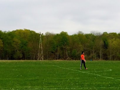 Soccer Field image 1