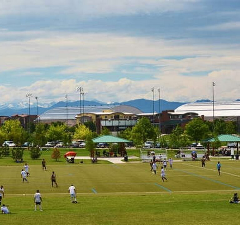 Soccer Field image 3