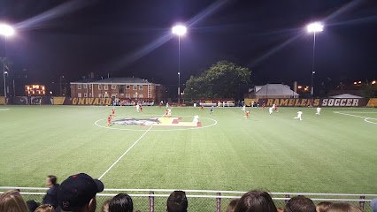 Soccer Field image 1