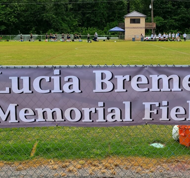 Soccer Field image 2