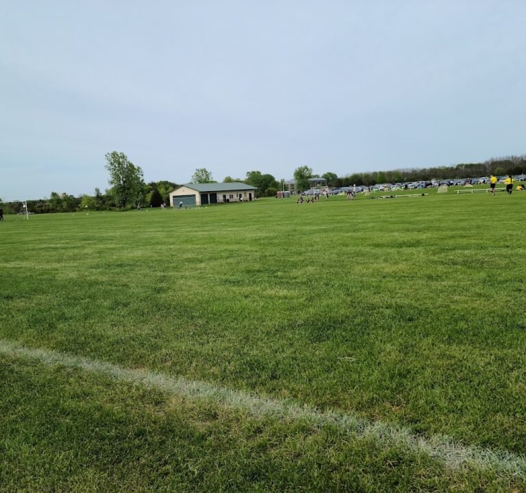 Soccer Field image 2