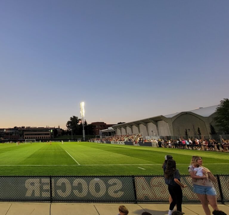 Soccer Field image 2