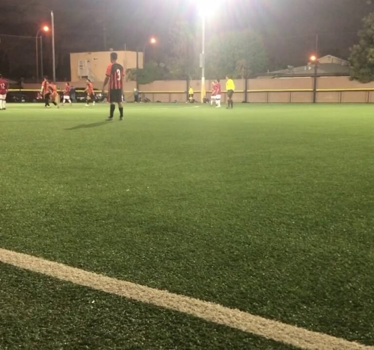 Soccer Field image 4