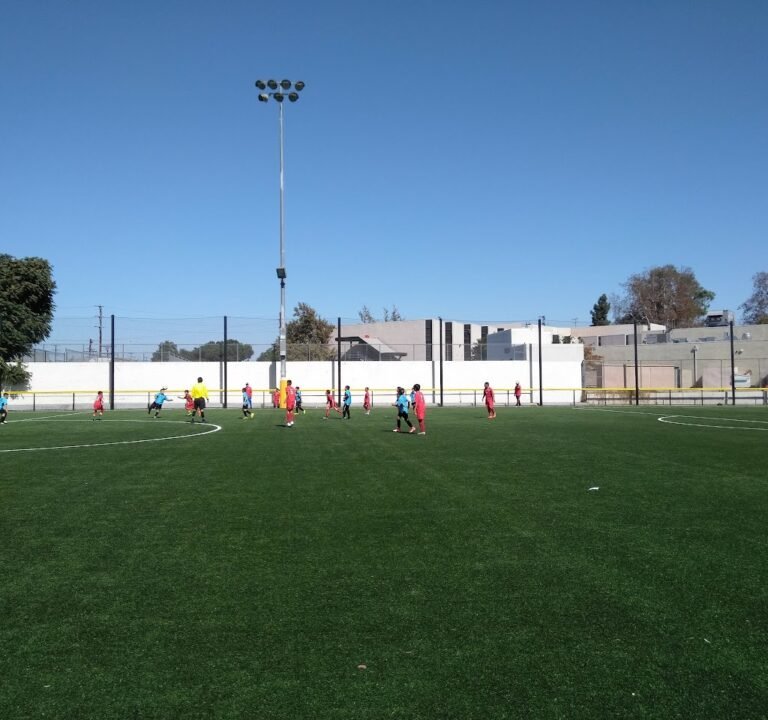 Soccer Field image 2