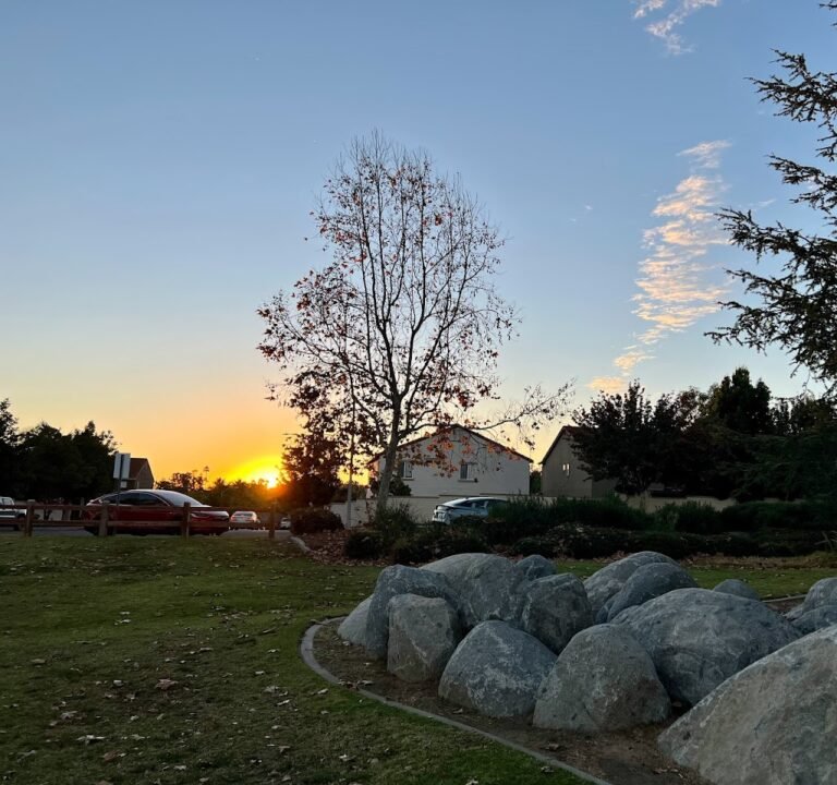 Soccer Field image 3