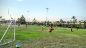 Soccer Field image 1