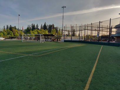 Soccer Field image 1
