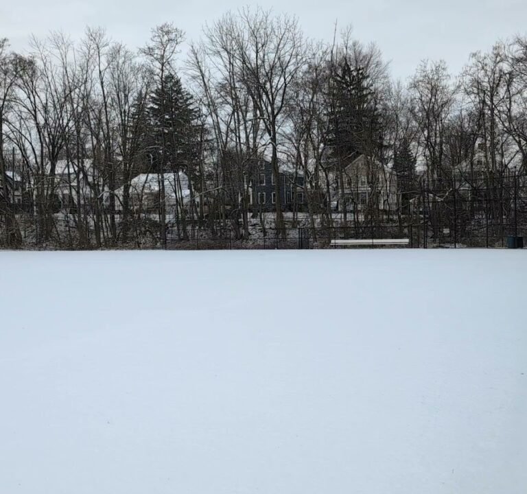 Soccer Field image 2