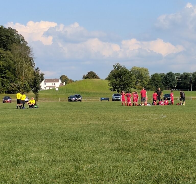 Soccer Field image 2