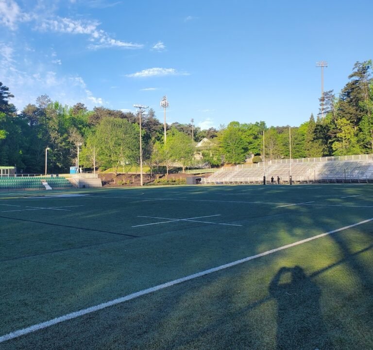 Soccer Field image 2