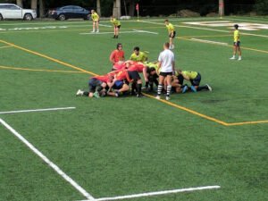 Soccer Field image 1