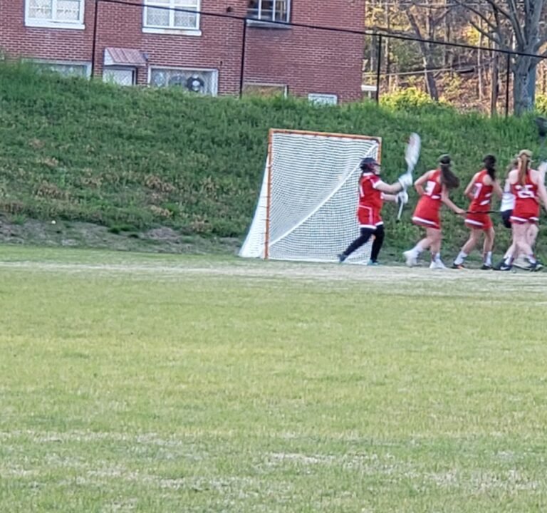 Soccer Field image 3