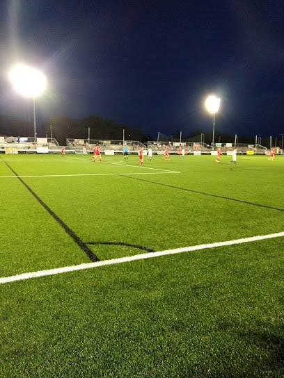 Soccer Field image 1