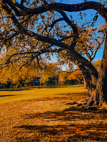 Soccer Field image 1