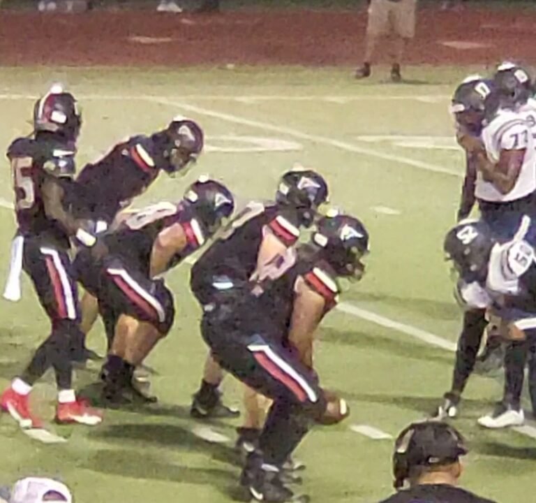 Soccer Field image 3