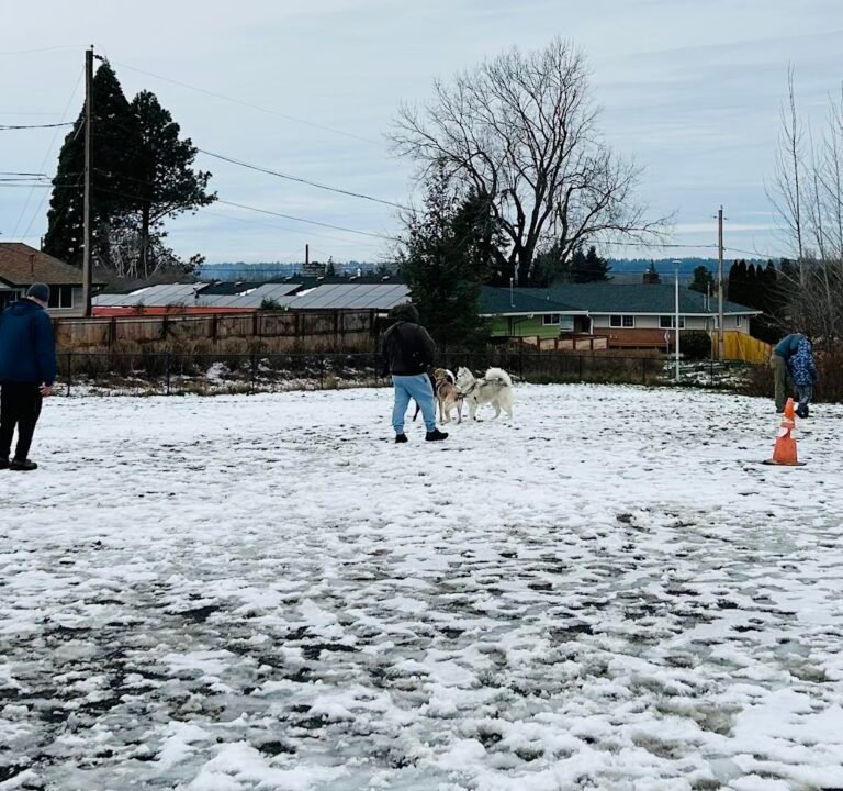 Soccer Field image 3