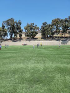 Soccer Field image 1