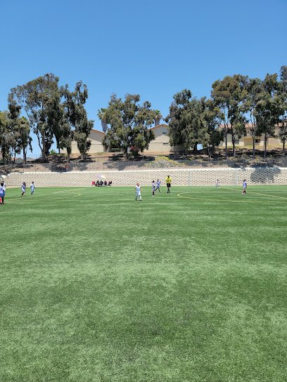 Soccer Field image 1