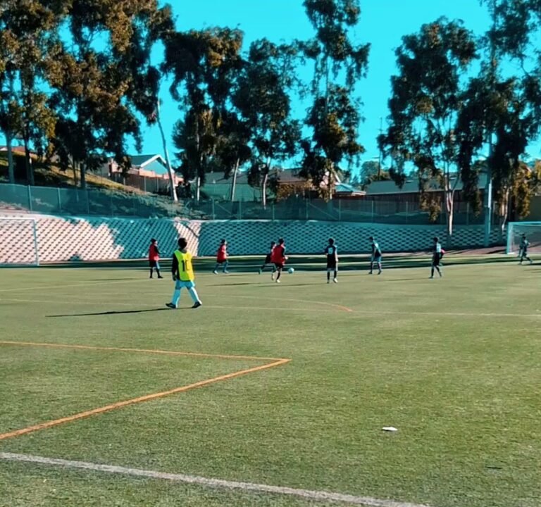 Soccer Field image 3