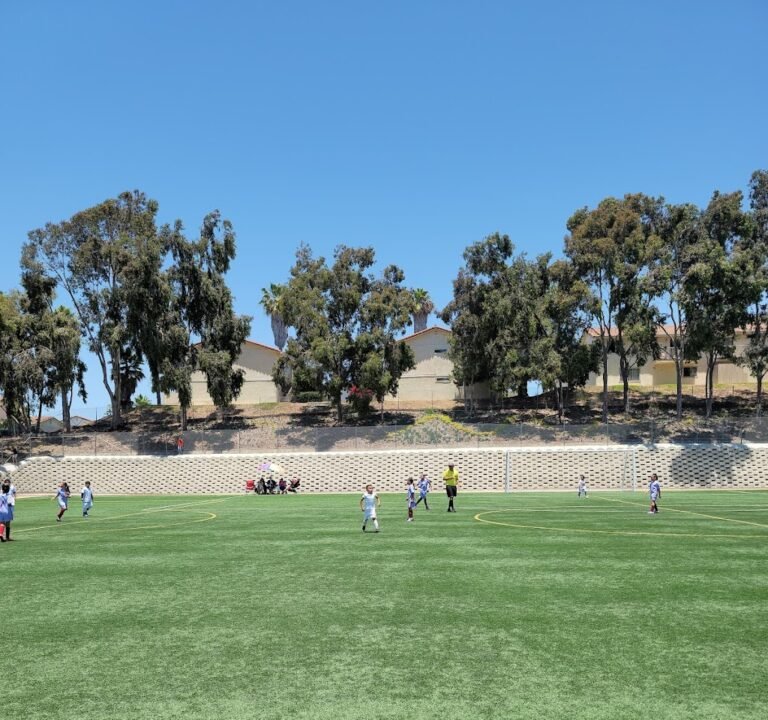 Soccer Field image 2