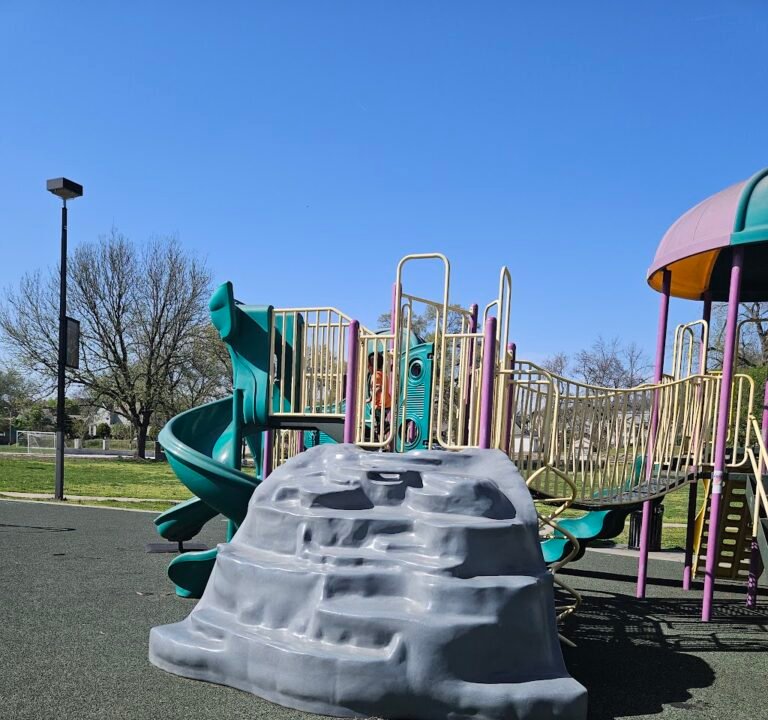 Soccer Field image 2