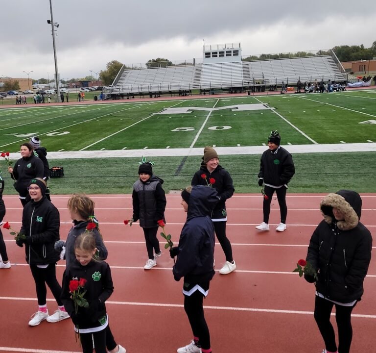 Soccer Field image 2