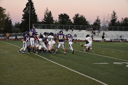 Soccer Field image 1