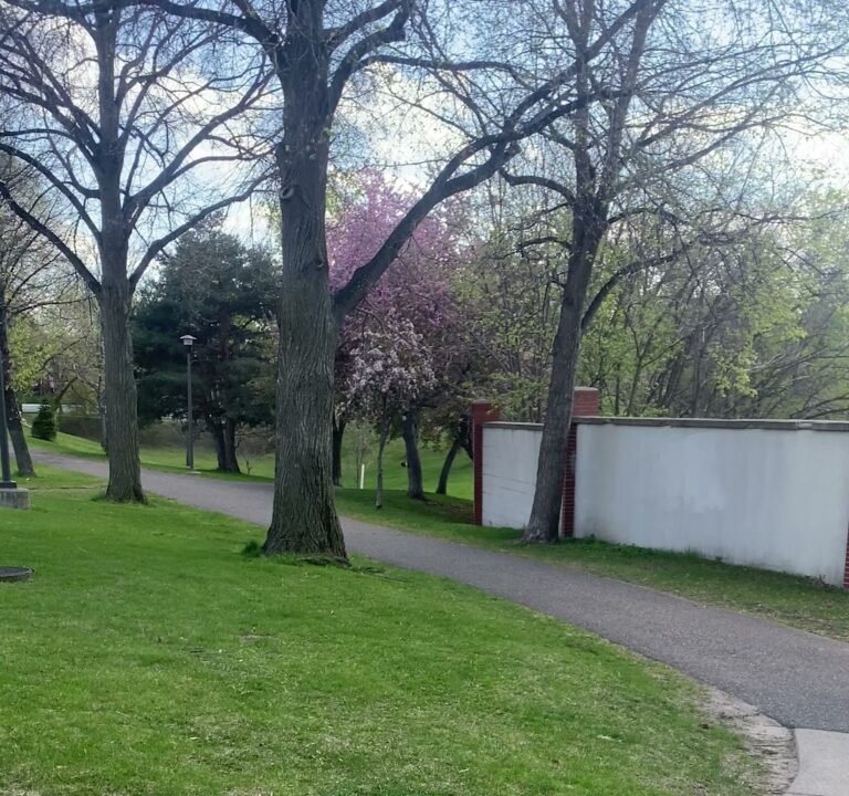 Soccer Field image 4